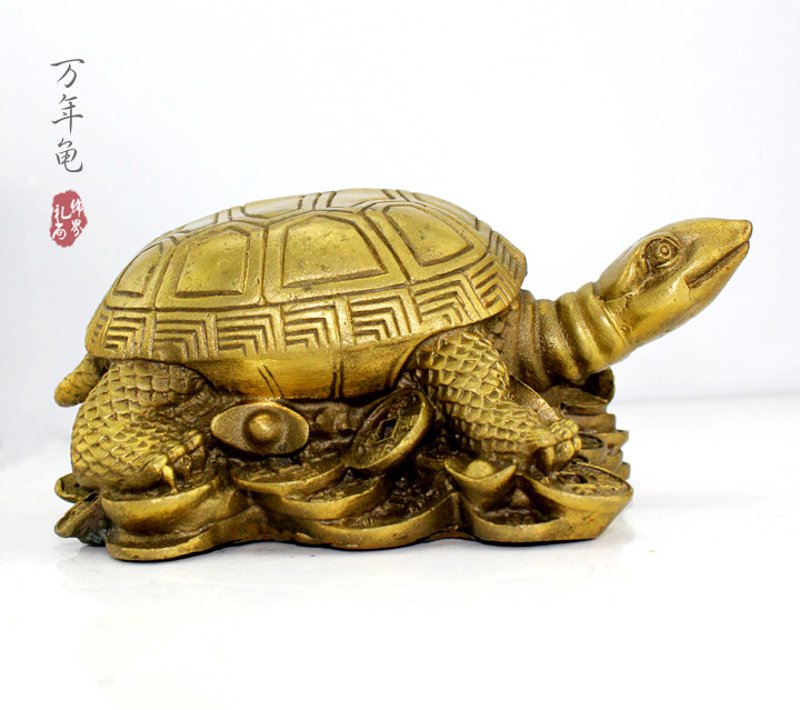 招财龟，这个名字听起来就充满着好运与财富的象征，但你知道如何挑选一只真正意义上的“招财龟”吗？本文将通过一系列步骤教你辨别不同的招财龟品种，并帮助你找到最适合你的那只。